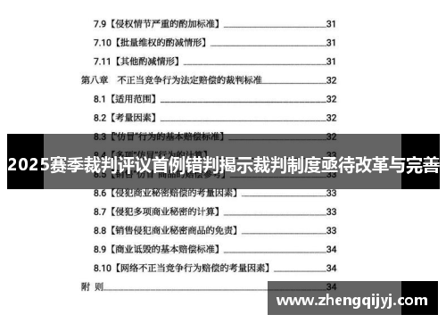 2025赛季裁判评议首例错判揭示裁判制度亟待改革与完善