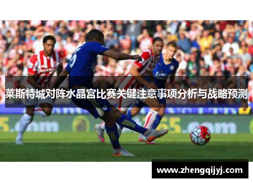 莱斯特城对阵水晶宫比赛关键注意事项分析与战略预测 莱斯特城对阵水晶宫比赛关键注意事项分析与战略预测